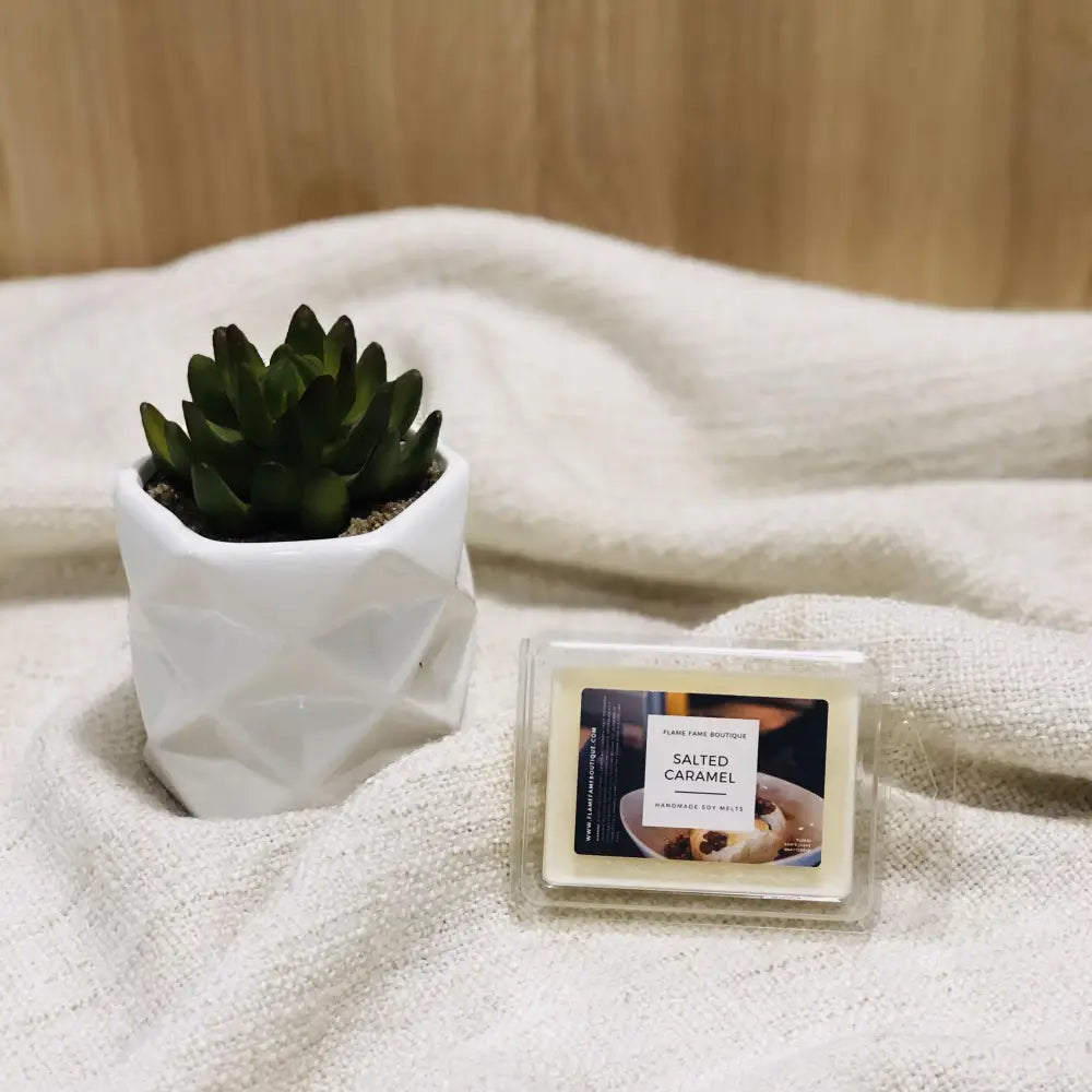 Five pack of Melts - Diffusers and Melts