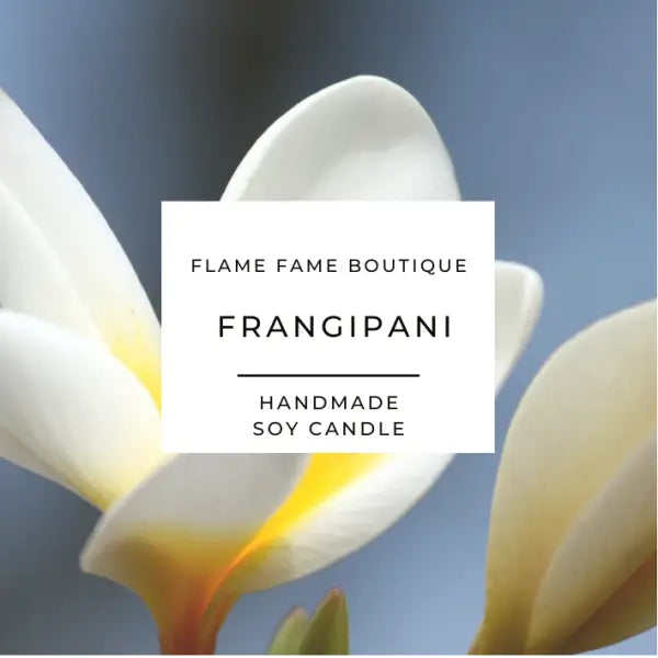 Frangipani Scented Candles - Candles