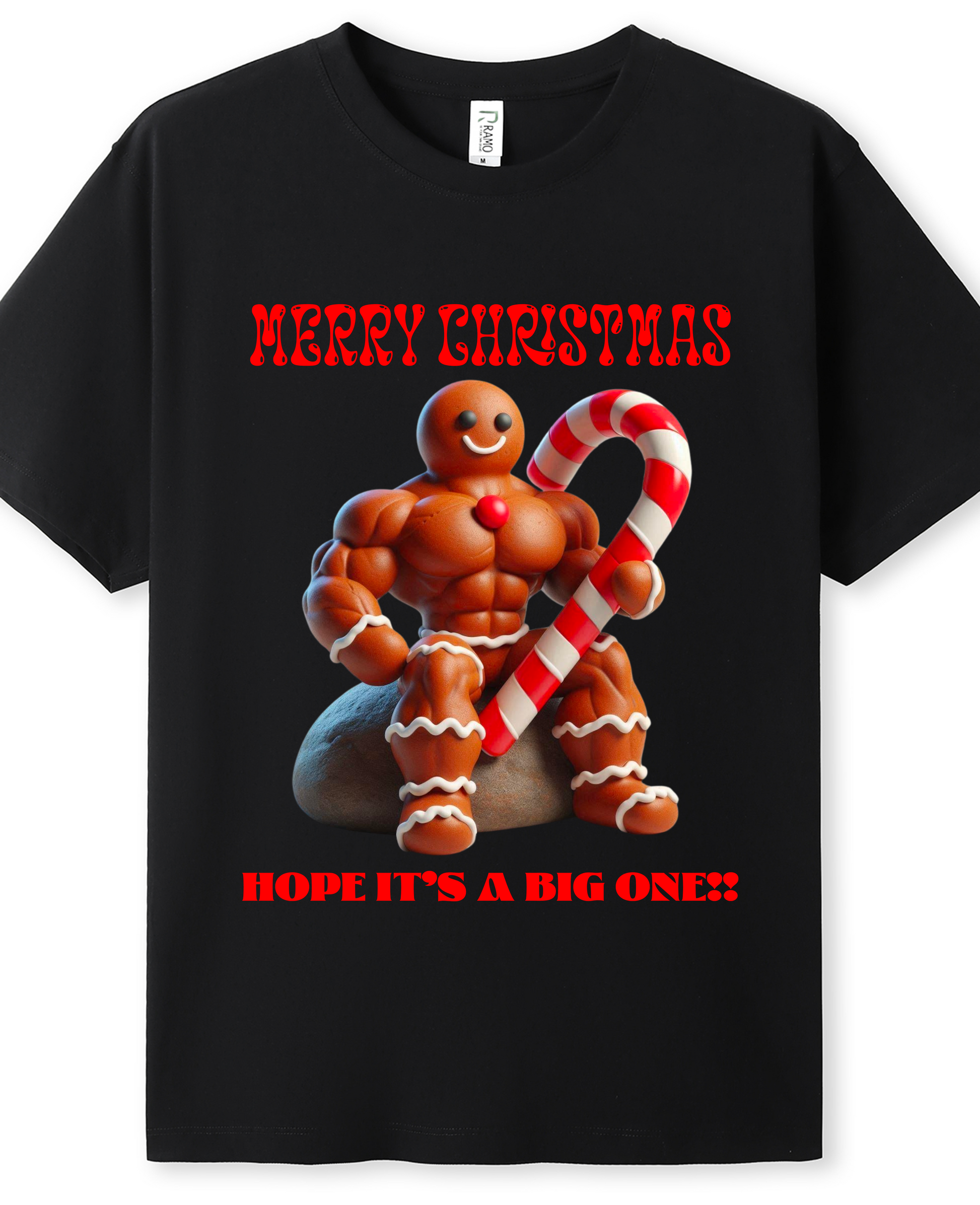 Funny Gingerbread man Merry Christmas Hope its a big one t-shirt