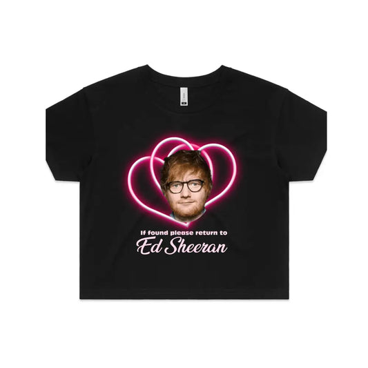 If found please return to Ed Sheeran.png