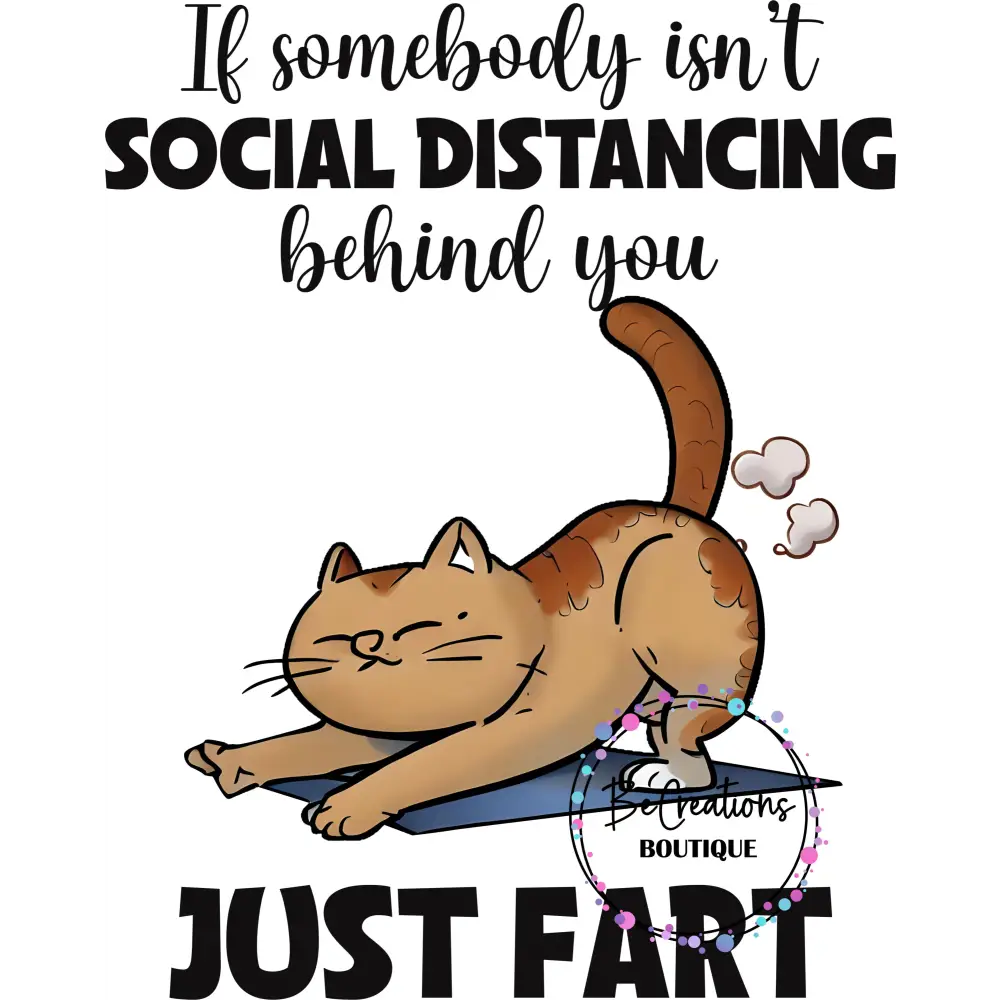 if someone isnt social distancing fart cat.jpg