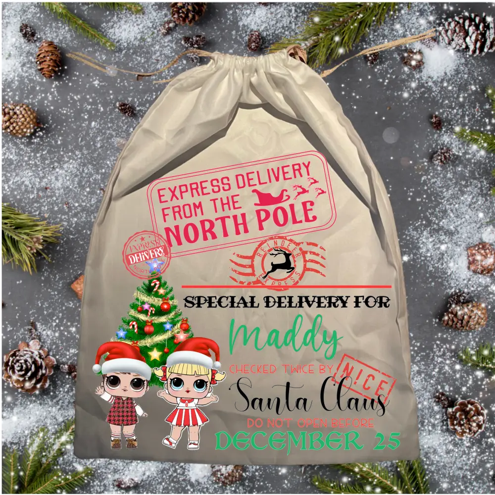 Santa Sack - Christmas