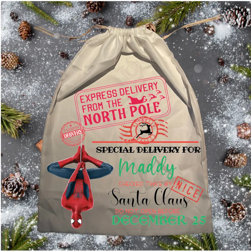 Santa Sack - Christmas