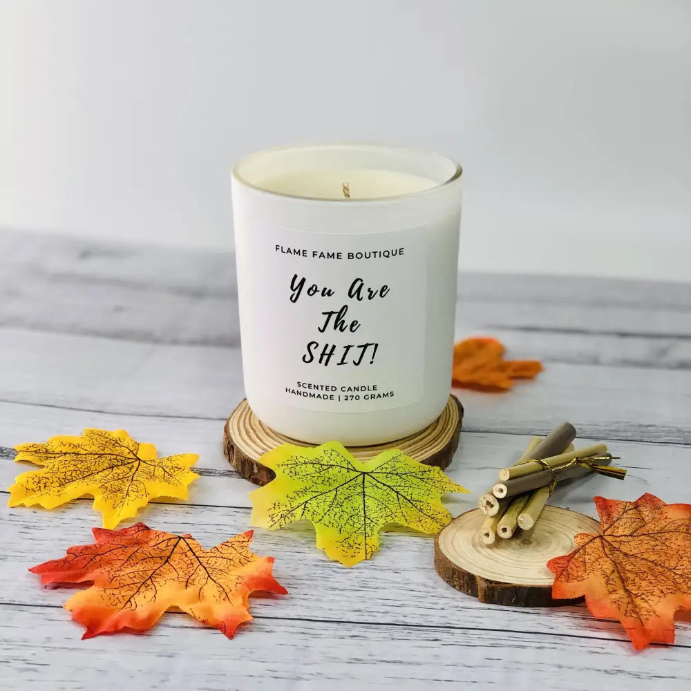 You are the shit - scented candle - Large - Candles